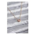 Clariss 316L Çelik Zincir Gold Renk Pembe Zirkon Taşlı Charm Kadın Kolye