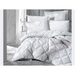 Clasy Ranforce Pamuk Çift Kişilik Yorgan Alone Gri V1 - Çok Renkli - 195 x 215 cm