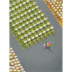 Clementoni 35078 Mordillo 500 Parça The March Puzzle