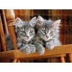 Clementoni Kittens 500 Parça Puzzle
