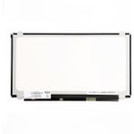 Clevo N250GU Notebook Ekran
