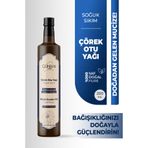 cliniva Çörek Otu Yağı ( Çörekotu ) %100 Saf Soğuk Sıkım 250ML