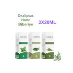 cliniva Nane Yağı, Okaliptus Yağı, Biberiye Yağı 3lü Ferahlatan Set %100 Doğal Uçucu Yağ