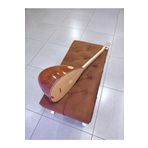 C&M BAGLAMA Orta Düzey Jak Girişli Kısa Sap Kompozit (kırılmaz) Bağlama