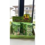 CN Collection Sonny Angel Cactus (Kaktüs) Series