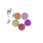 cnk craft shop Epoksi Reçine Sim Glitter Seti, Nail Glitter 5li Sim Tırnak Süsleme Seti, Beton Mum Süsleme Sim