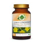 Çoban Çökerten Toz Ekstresi (Tribulus Terrestris)80 Gr. Cam Kavanoz
