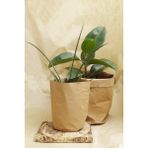 Co&bo Kraft Paper Yıkanabilir Kağıt Saksı -Küçük