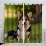 Cocker Spaniel Köpekler için Perdeler - 280 x 260 cm, Karartma Polyester Perde, Oturma Odası, Yatak Odası, Çocuk Odası için 2 Adet Evcil Hayvan Dostu Kuş Gözü Tasarımı