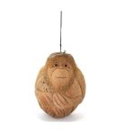 Coconat Maymun Büstü Model 1