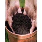 Cocopeat Katklılı Tropikal Bitki Toprağı [ Ev Bahçe]