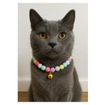 Cocopet Boncuklu Kedi Kolyesi Renkli Esnek Kedi Kolye