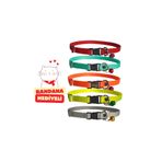 Cocopet Kedi Boyun Tasması Zilli 5'li Set 20-32 Cm Turuncu Turkuaz Sarı Gri Kırmızı