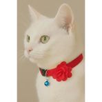 Cocopet Kırmızı Çiçekli Kedi Tasması