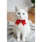 Cocopet Kırmızı Fiyonklu Kedi Boyun Tasması Bağlamalı doğum günü yılbaşı özel günler için kedi tasma