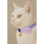 Cocopet Mor Çiçekli Kedi Tasması