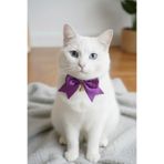 Cocopet Mor Fiyonklu Kedi Boyun Tasması Bağlamalı doğum günü yılbaşı özel günler için kedi tasma