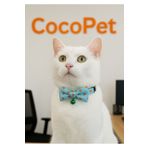 Cocopet Papyonlu Kedi Boyun Tasması Turkuaz Kalpli fiyonk kedi tasması