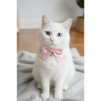 Cocopet Pembe Fiyonklu Kedi Boyun Tasması Bağlamalı doğum günü yılbaşı özel günler için kedi tasma