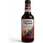 Coffee Freddo Böğürtlen Kahve Şurubu, Kahve Şurupları, Yeni Yüksek Aromalı, Kahve ve Kokteyl Şurubu - 750 ml