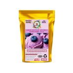 Coffee Naturelle Yaban Mersini Aromalı Dondurma Karışım Tozu - 250 Gr