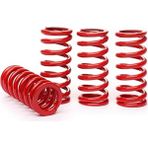 Coil-Ex BMW E87 2005 Sonrası 30 30 mm Spor Helezon Yay