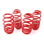 Coil-Ex Bmw F30 Spor Helezon Yayı 2012 / 2019 Coil-Ex