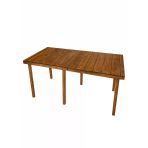 Çok Amaçli Katlanabilir Kamp, Piknik Masasi Ceviz 60X60x9