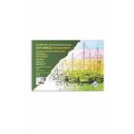Çok Amaçlı Sanatsal Blok Fon Kartonlu 35x50 Cm 200 Gr 20+10 Yp