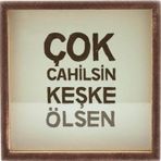 Çok Cahilsin Keşke Ölsen Ahşap ve Cam Tasarımlı Kumbara