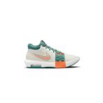 Çok Renkli Nike Unisex Basketbol Ayakkabısı Lebron Witness 8