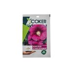 ÇOKER HATMİ ÇİÇEĞİ ÇİÇEK TOHUMU