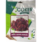 Çoker Marul Akdeniz Kıvırcığı Tohumu