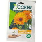Çoker Nergis Çiçeği Tohumu