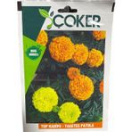 Çoker Top Kadife Çiçeği Tohumu