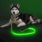 Colaseeme Işıklı Köpek Tasması, 4FT LED Pet Tasmalar Mikro USB Şarj Edilebilir, Naylon Glow Güvenlik Köpekleri Gece Işıkları (Yeşil)