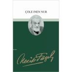 Çöle İnen Nur 039 Necip Fazıl Kısakürek Büyük Doğu