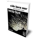 Çöle İnen Nur (Ciltli Hatıra Baskı)