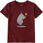 Colermi Pamuk Kumaş Çocuk Tişörtü – Bisikletli Fil ve Pasta Baskılı T-Shirt - Bordo - 3 - 4 Yaş