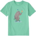 Colermi Pamuk Kumaş Çocuk Tişörtü – Bisikletli Fil ve Pasta Baskılı T-Shirt - Yeşil - 5 - 6 Yaş