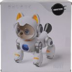 Colezium 4D-Y14 Uzaktan Kumandalı Sevimli Kedi Köpek Robot
