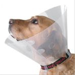 Colezium Kedi Köpek Yakalığı Small 12,5cm Ø/ 28-33CM