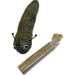 colezium Kedi Oyuncağı Kedi Otlu Benekli Tırtıl 4-17 cm Yeşil