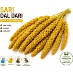 Colezium Kuşlar Için Doğal Sarı Dal Darı 100 gr