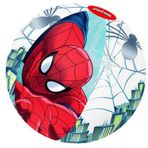 Colezium Spider-Man Deniz Topu 51 cm