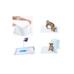 colezium Yıkanabilir Köpek Çiş Pedi - 100 X 100 Cm