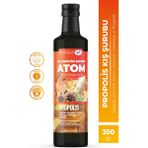 Collagen Life Atom Kış Enerjisi Kozalak Pekmezi, Tarçın, Havlıcan, Zencefil, Ekinezya Bitki Ekstrakt Karışım 350GR - 350 gr