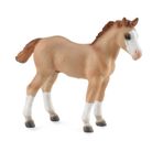 COLLECTA TAY