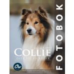 Collie: Fotobok (Fotobok - Över 100 HD-bilder)