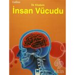 Collins İlk Kitabım - İnsan Vücudu / Kollektif / Mavi Kelebek Yayınları